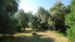 outside - Ferienhaus für 4 Personen (130 m²) in Fano - Top-Hundeurlaub