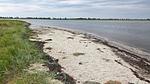 WaterView - Ferienhaus für 7 Personen (65 m²) in Hadsund - Top-Hundeurlaub
