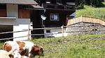 exterior - Ferienhaus für 5 Personen (80 m²) in Grades - Top-Hundeurlaub