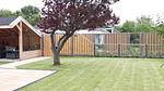 exterior - Ferienhaus für 6 Personen (75 m²) in Stavenisse - Top-Hundeurlaub