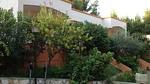 house - Ferienwohnung für 2 Personen (40 m²) in Vieste - Top-Hundeurlaub