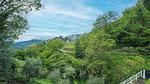 exterior - Ferienhaus für 5 Personen (70 m²) in Loppeglia-Fiano - Top-Hundeurlaub