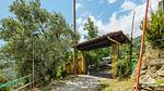 exterior - Ferienhaus für 4 Personen (70 m²) in Montignoso - Top-Hundeurlaub