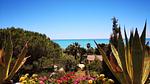 house - Ferienwohnung für 3 Personen (40 m²) in Marina Di Modica - Top-Hundeurlaub