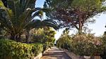 house - Ferienwohnung für 3 Personen (40 m²) in Marina Di Modica - Top-Hundeurlaub