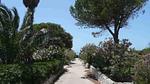 house - Ferienwohnung für 3 Personen (40 m²) in Marina Di Modica - Top-Hundeurlaub