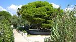 house - Ferienwohnung für 3 Personen (40 m²) in Marina Di Modica - Top-Hundeurlaub