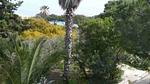 exterior - Ferienwohnung für 3 Personen (40 m²) in Marina Di Modica - Top-Hundeurlaub