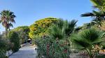 exterior - Ferienwohnung für 3 Personen (40 m²) in Marina Di Modica - Top-Hundeurlaub