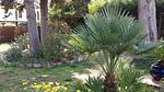 exterior - Ferienhaus für 4 Personen (70 m²) in Sainte-Maxime - Top-Hundeurlaub