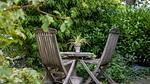 Garten [Sommer] - Ferienhaus für 3 Personen (100 m²) in Bergen (Nord-Holland) - Top-Hundeurlaub