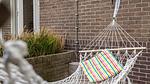 Ambiente / Nahaufnahme - Ferienhaus für 3 Personen (100 m²) in Bergen (Nord-Holland) - Top-Hundeurlaub