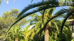 Ferienwohnung für 5 Personen (25 m²) in Saint-Raphaël - Top-Hundeurlaub