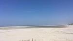 AreaSummer20KM - Ferienhaus für 7 Personen (77 m²) in Gemeente Ameland - Top-Hundeurlaub