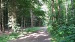 Untagged - Ferienhaus für 11 Personen (166 m²) in Marstal - Top-Hundeurlaub