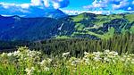 AreaWinter5KM - Ferienwohnung für 5 Personen (26 m²) in Avoriaz - Top-Hundeurlaub