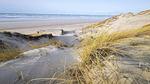 WaterView - Ferienhaus für 11 Personen (188 m²) in Blåvand - Top-Hundeurlaub