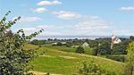 view-from-room - Ferienhaus für 6 Personen (88 m²) in Knebel - Top-Hundeurlaub