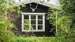 outside - Ferienhaus für 5 Personen (65 m²) in Nykøbing Sjælland - Top-Hundeurlaub