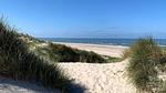 beach - Ferienhaus für 14 Personen (180 m²) in Ebeltoft - Top-Hundeurlaub