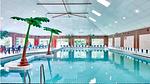 pool - Ferienhaus für 4 Personen (52 m²) in Andijk - Top-Hundeurlaub