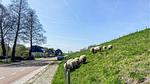house - Ferienhaus für 4 Personen (52 m²) in Andijk - Top-Hundeurlaub