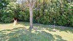 outside - Ferienhaus für 15 Personen (350 m²) in Cavaillon - Top-Hundeurlaub
