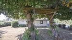 outside - Ferienhaus für 6 Personen (82 m²) in Hejls - Top-Hundeurlaub