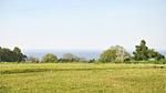 view-from-room - Ferienhaus für 10 Personen (120 m²) in Augustenborg - Top-Hundeurlaub