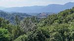 view-from-room - Ferienhaus für 6 Personen (75 m²) in Barga - Top-Hundeurlaub