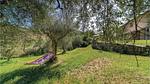 outside - Ferienhaus für 10 Personen (200 m²) in Belvedere - Top-Hundeurlaub
