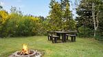 outside - Ferienhaus für 6 Personen (67 m²) in Tarm - Top-Hundeurlaub