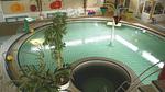ParkFacilities - Bungalow für 4 Personen (72 m²) in Vlagtwedde - Top-Hundeurlaub