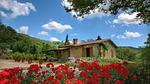 ExteriorSummer - Bauernhof für 5 Personen (35 m²) in Loro Ciuffenna - Top-Hundeurlaub
