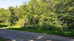 Outdoor - Ferienhaus für 7 Personen (87 m²) in Toftlund - Top-Hundeurlaub