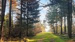 Outdoor - Ferienhaus für 7 Personen (87 m²) in Toftlund - Top-Hundeurlaub