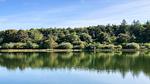 WaterView - Ferienhaus für 7 Personen (87 m²) in Toftlund - Top-Hundeurlaub