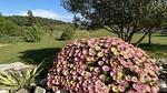 GardenSummer - Villa für 4 Personen (40 m²) in Lézignan-Corbières - Top-Hundeurlaub