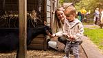ParkFacilities - Bungalow für 6 Personen (60 m²) in Putten - Top-Hundeurlaub