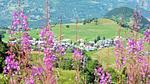 Untagged - Ferienwohnung für 5 Personen (25 m²) in Albiez Montrond - Top-Hundeurlaub