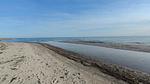 WaterView - Ferienhaus für 5 Personen (65 m²) in Læsø - Top-Hundeurlaub