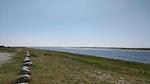 WaterView - Ferienhaus für 5 Personen (65 m²) in Læsø - Top-Hundeurlaub