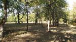 GardenSummer - Ferienhaus für 7 Personen (100 m²) in Bagat-en-Quercy - Top-Hundeurlaub