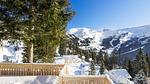Untagged - Ferienwohnung für 9 Personen (56 m²) in Flaine - Top-Hundeurlaub