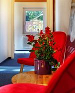 Hotel Sonnenschein - Top-Hundeurlaub