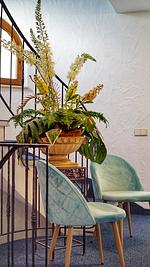 Hotel Sonnenschein - Top-Hundeurlaub