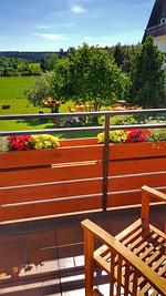 Hotel Sonnenschein - Top-Hundeurlaub