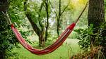 GardenSummer - Ferienhaus für 5 Personen (60 m²) in Leende - Top-Hundeurlaub