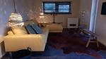 LivingRoom - Ferienhaus für 5 Personen (60 m²) in Leende - Top-Hundeurlaub
