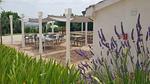 TerraceBalcony - Villa für 7 Personen (110 m²) in Monsano - Top-Hundeurlaub